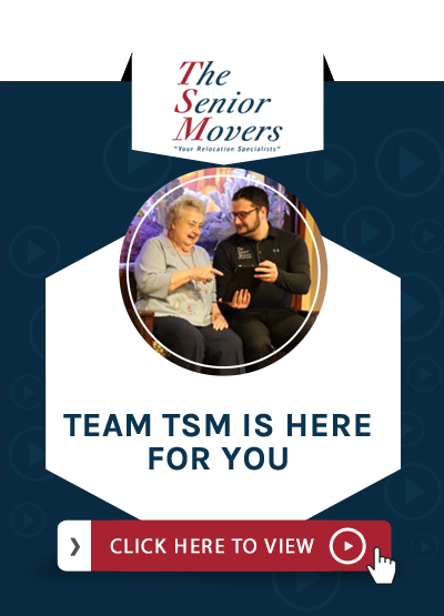 Team TSM at Service